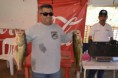 /album/tournament-october-2014/a10360215-1485124541747809-7457491681193237584-n-jpg/